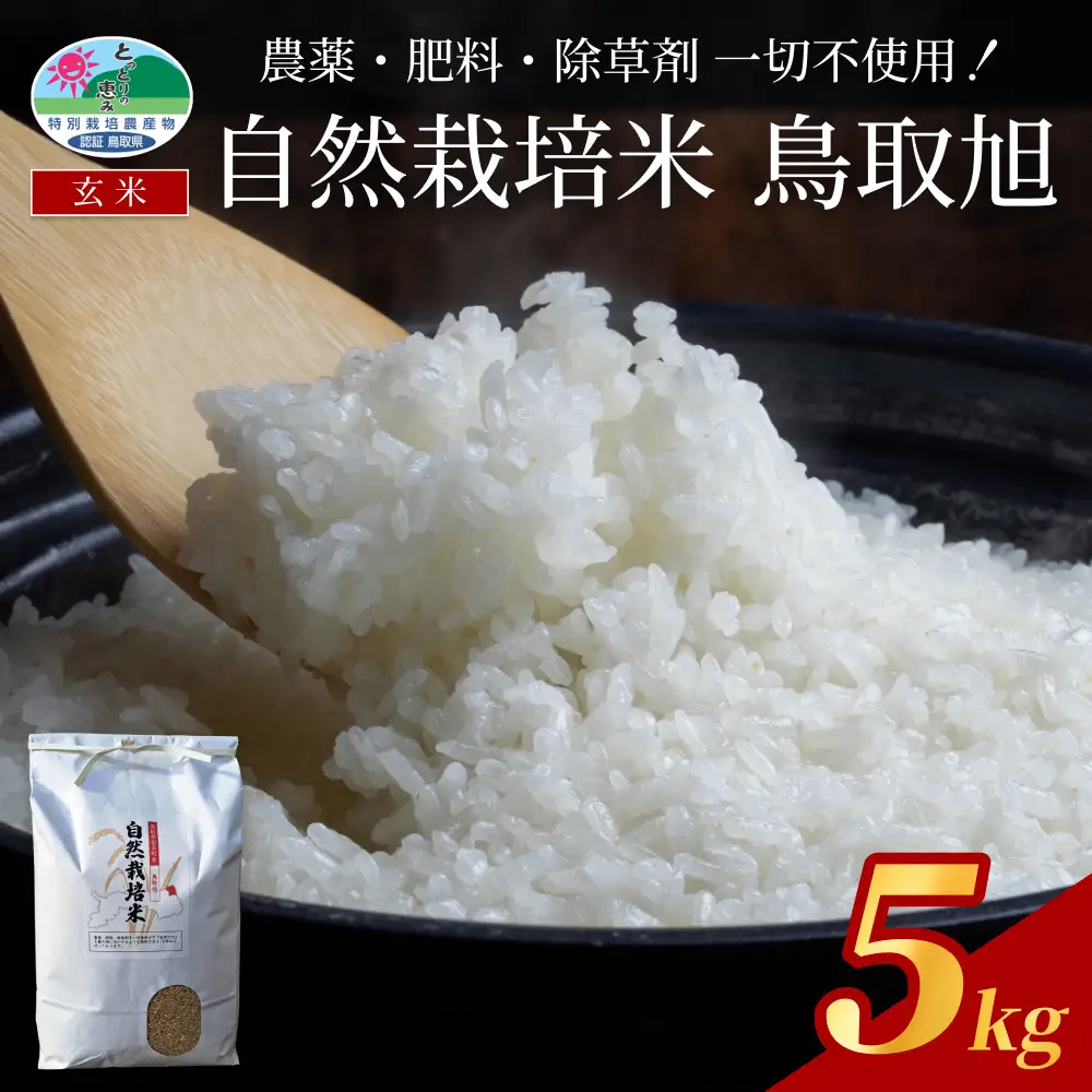 【2026新米先行予約】自然栽培米 鳥取旭（玄米）5kg 令和8年産｜鳥取 岩美 岩美町産 お米 こめ 玄米 無農薬 無肥料 【31024】