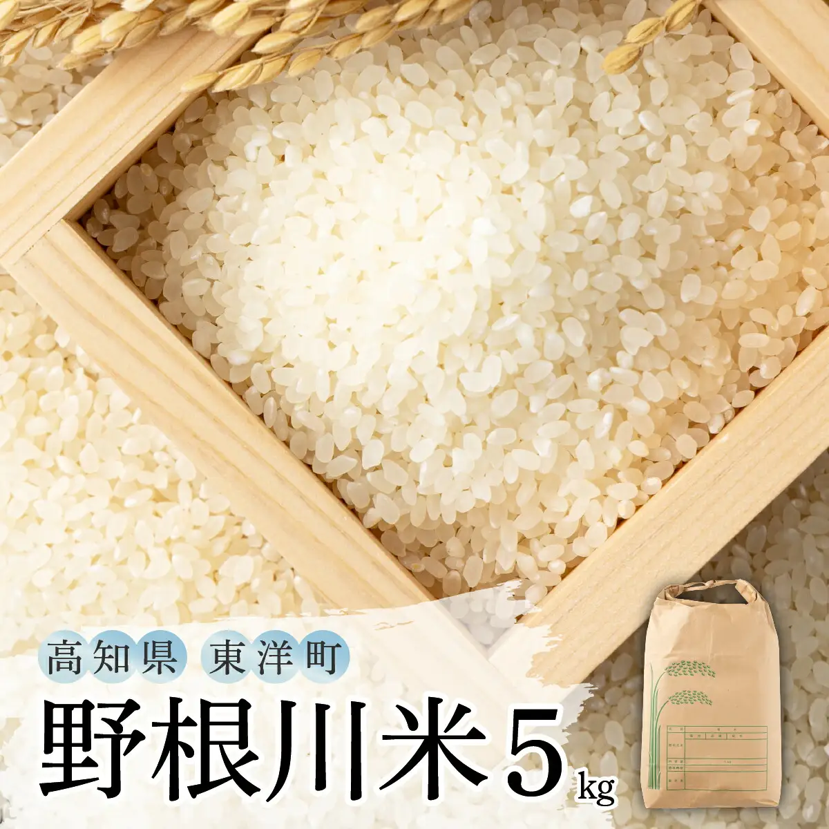 令和7年産 野根川米 5kg 米 国産 コメ【NO001】