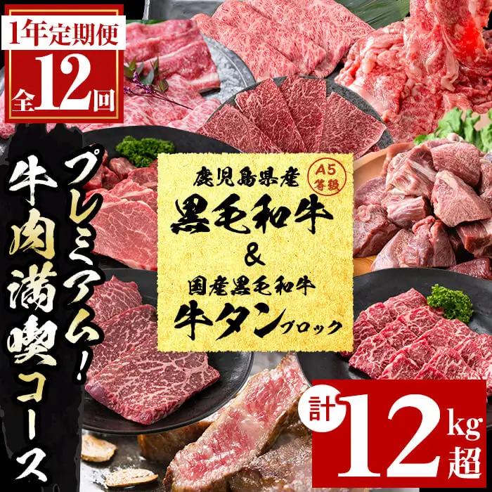 【定期便・全12回】＜A5等級＞鹿児島県産黒毛和牛＆国産牛タン プレミアム！牛肉満喫コース＜計12kg超＞ 定期便 牛肉 肉 1年 12回 12ヶ月 お楽しみ バラエティ 小分け 牛たん すき焼き しゃぶしゃぶ ステーキ 焼肉 セット 頒布会 t026-001