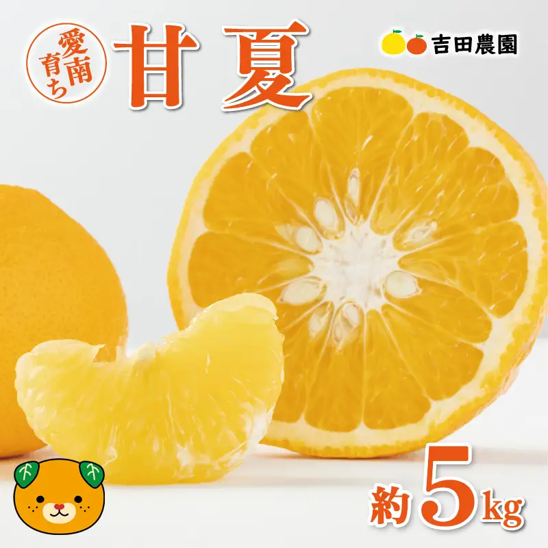 【先行予約】 甘夏 5kg 甘夏 夏みかん 柑橘 愛媛 愛南 吉田農園