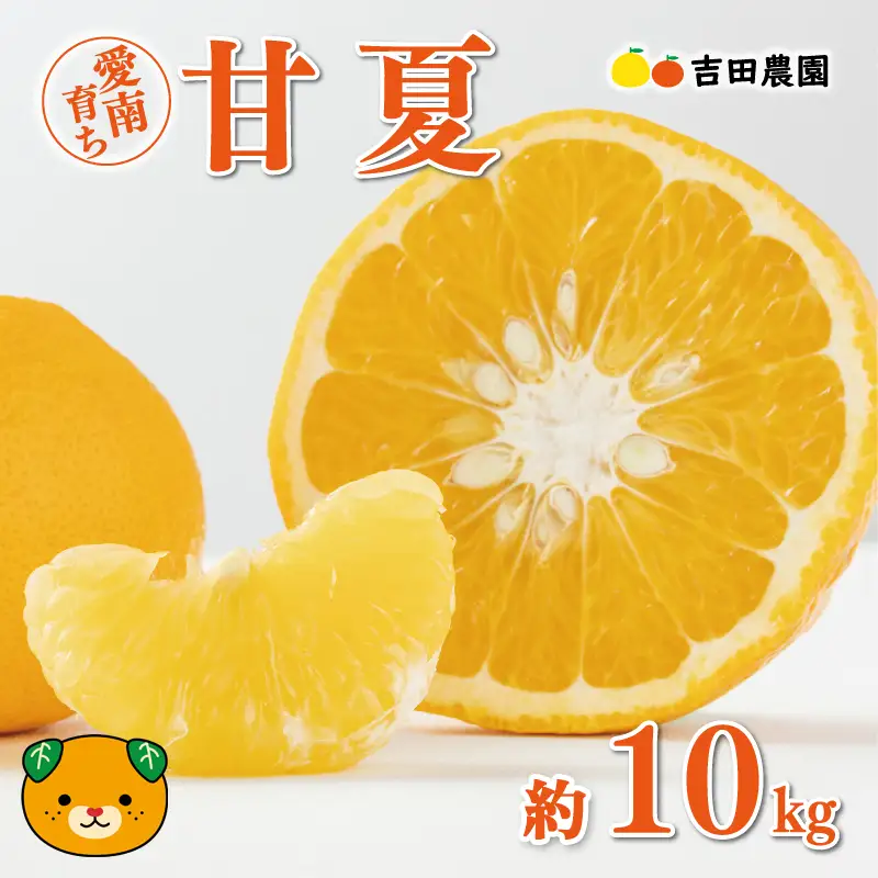 【先行予約】 甘夏 10kg 甘夏 みかん 夏みかん 柑橘 愛媛 愛南 吉田農園