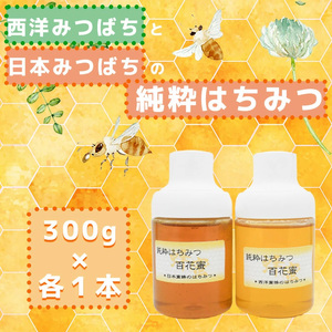 GD007_日本蜜蜂の純粋はちみつ＊西洋蜜蜂のはちみつ　食べ比べセット　３００ｇ×各１