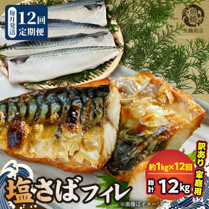 【訳あり 家庭用】 塩さば フィレ 1kg 全12回定期便_G60-T86