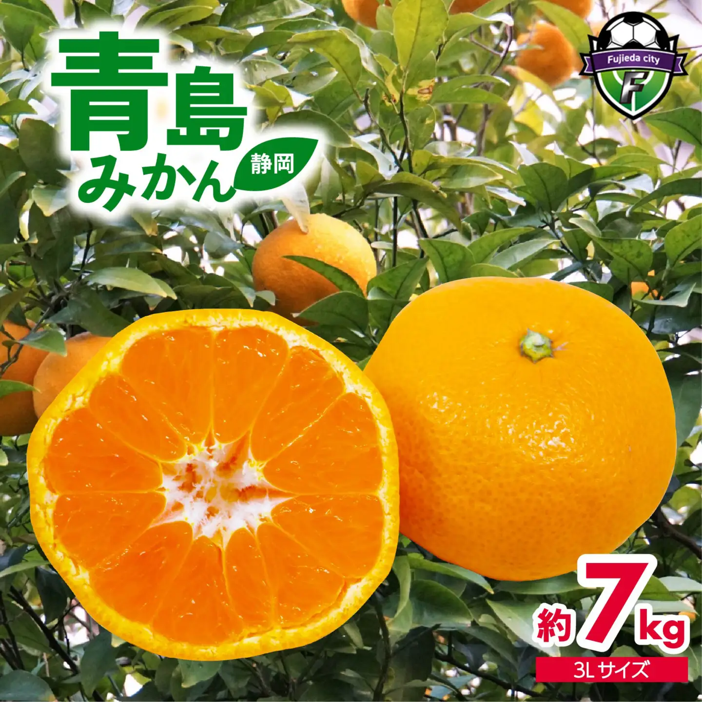 静岡県産 青島みかん 3L 約 7kg 先行予約 2026年12月下旬より順次出荷