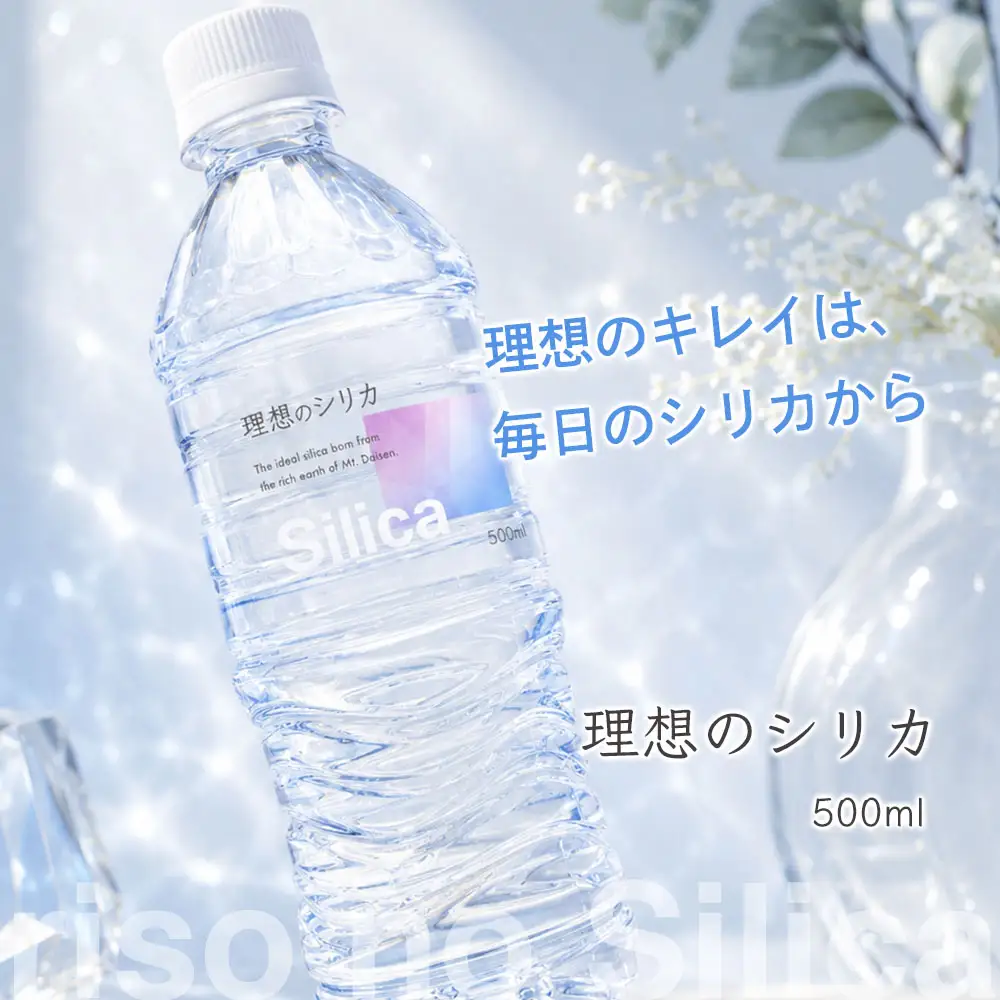 理想のシリカ 500ml × 48本