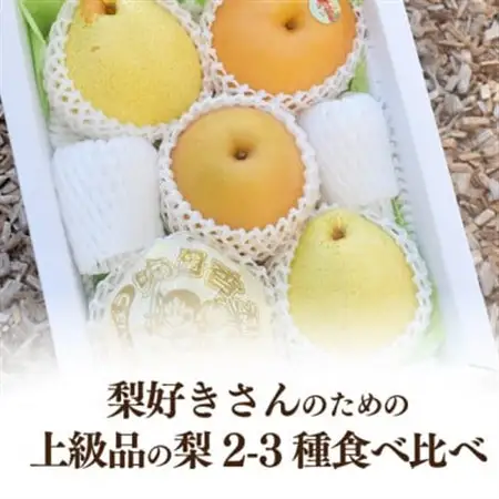 【2026年発送】上級品 5-7玉 梨好きのための、梨2-3種の食べ比べセット! (岡山県産)【1559796】