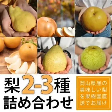 【2026年発送】ご家庭用 5-7玉 梨好きのための梨2-3品種食べ比べ (岡山県産)【1559803】
