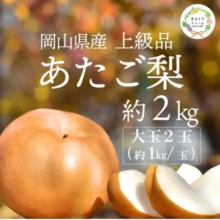 【2026年発送】あたご梨 上級品 2玉入 (1kg級/玉) (岡山県産)【1559830】