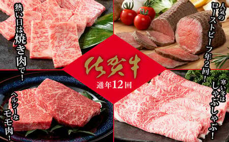 【通年12回】佐賀牛季節のオススメ定期便 ファミリー向け 牛肉 牛肉定期便 黒毛和牛 牛肉定期便 50万円 牛肉定期便 za022