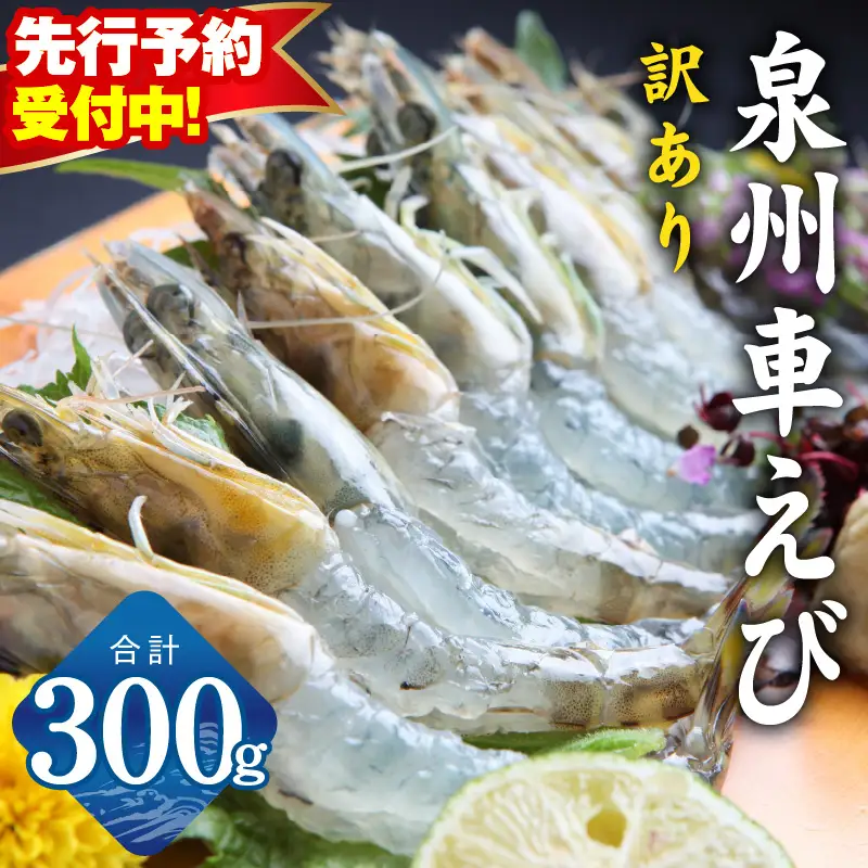 【訳あり】泉州車えび 300g TVで紹介【先行予約】