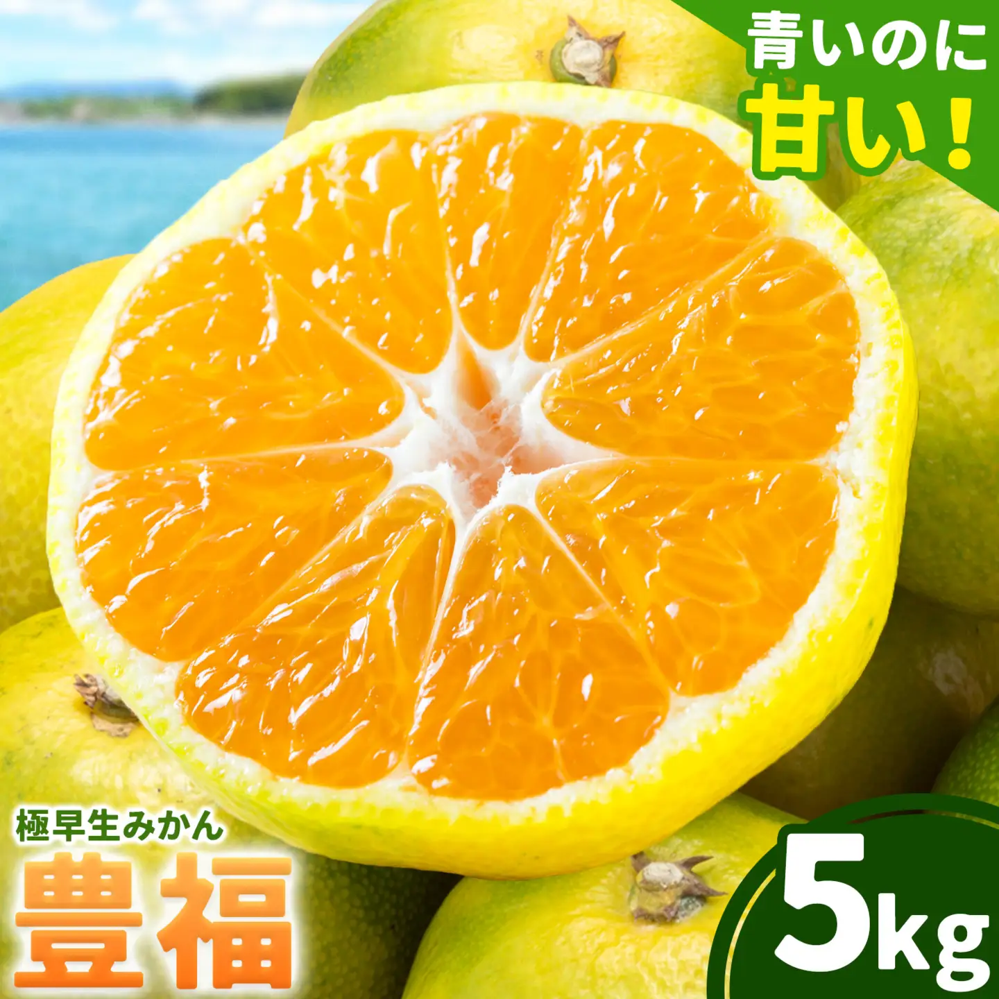 【先行予約】みかん 極早生みかん 豊福 5kg