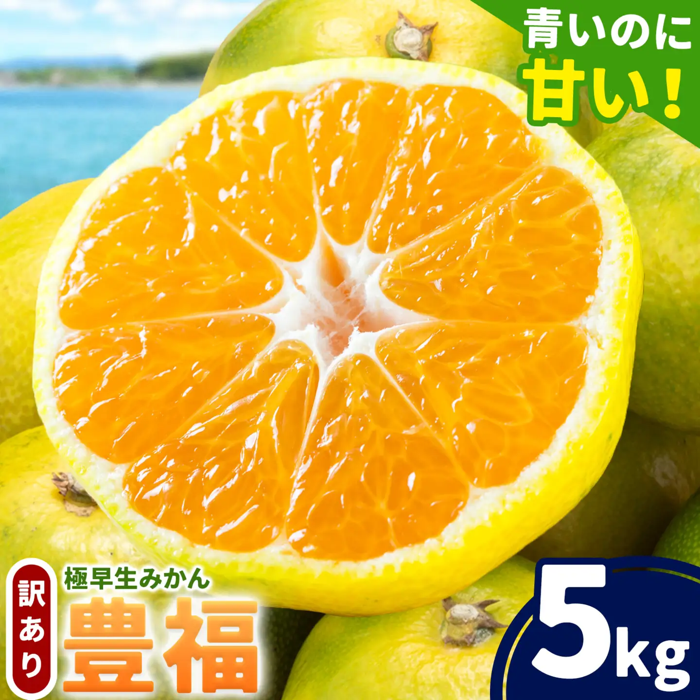 【先行予約】訳あり みかん 極早生みかん 豊福 5kg