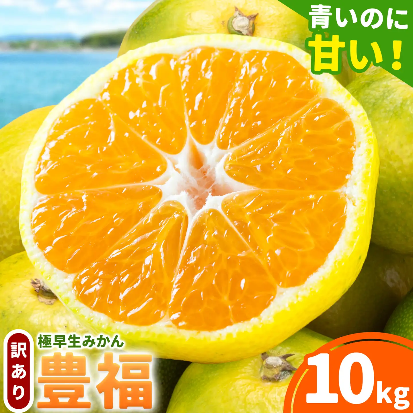 【先行予約】訳あり みかん 極早生みかん 豊福 10kg