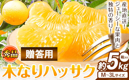 八朔 贈答用 ハッサク 約5kg