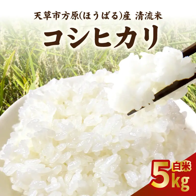 S150-003_天草市方原産　白米（コシヒカリ）5キロ