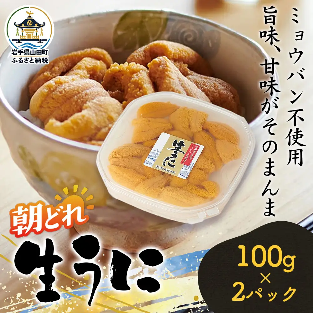【無添加】生うに 100g 2パック 三陸産 長根水産 【2027年5月中旬以降発送 】 国産 三陸山田 岩手県 山田町 三陸 旬 うに 無添加 ウニ 雲丹 うに丼 無添加ウニ キタムラサキウニ 特選 ミョウバン不使用