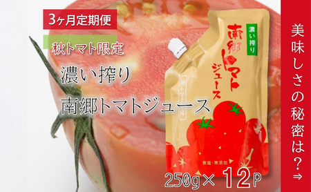3ヶ月定期便 濃い搾り 南郷トマトジュース 計36パック 12パック×3ヶ月 果汁飲料 野菜飲料 ストレート 無添加 野菜 トマト とまと