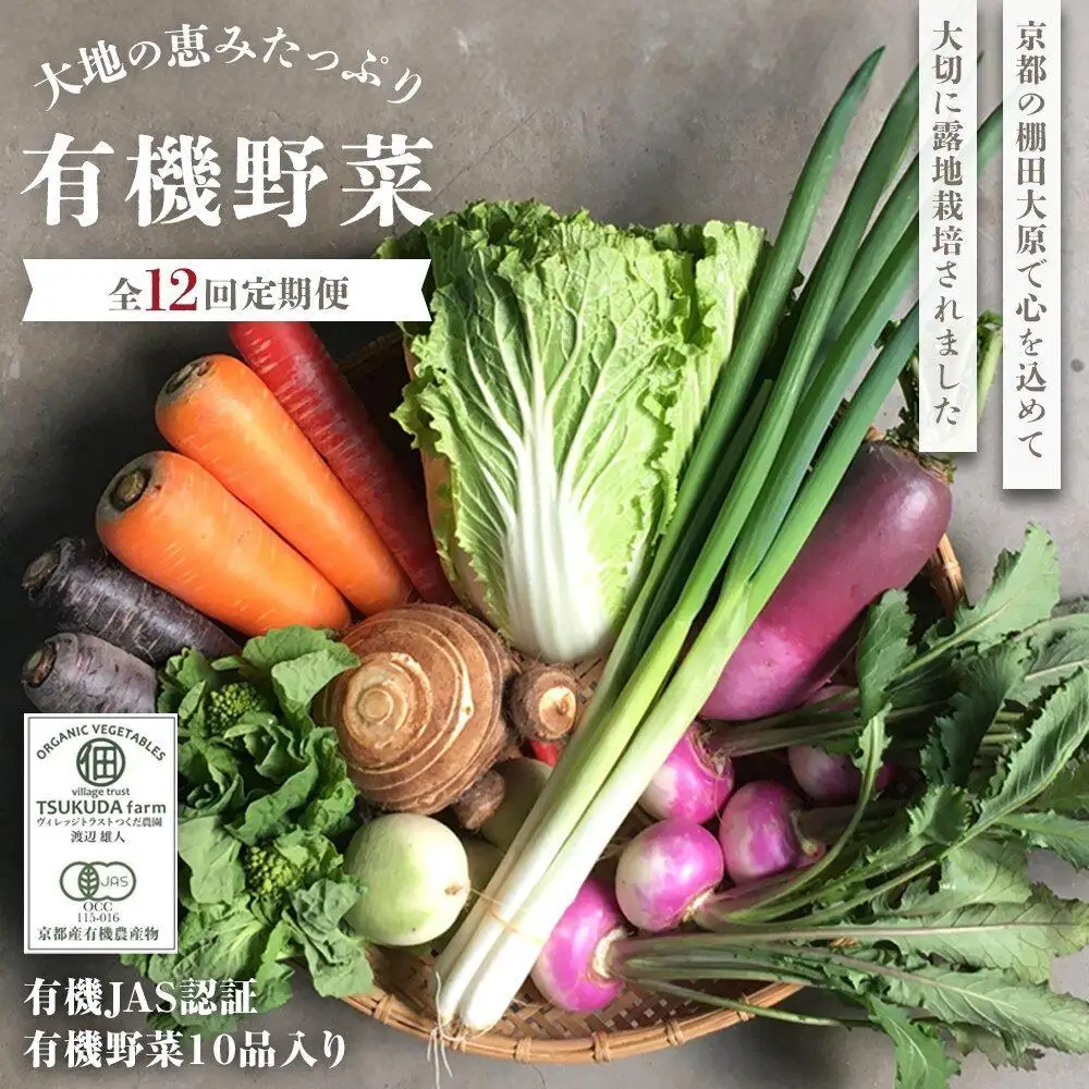◆全12回定期便◆【つくだ農園】《有機JAS認証 有機野菜10品入り》京都の棚田大原で心を込めて大切に露地栽培された大地の恵みたっぷりの有機野菜!