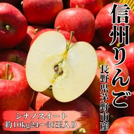 【2026年先行受付】長野直送!信州八ヶ岳のりんごシナノスイート約10kg(24～36玉)蓼科高原_果物・フルーツ りんご  リンゴ 林檎_【1605263】