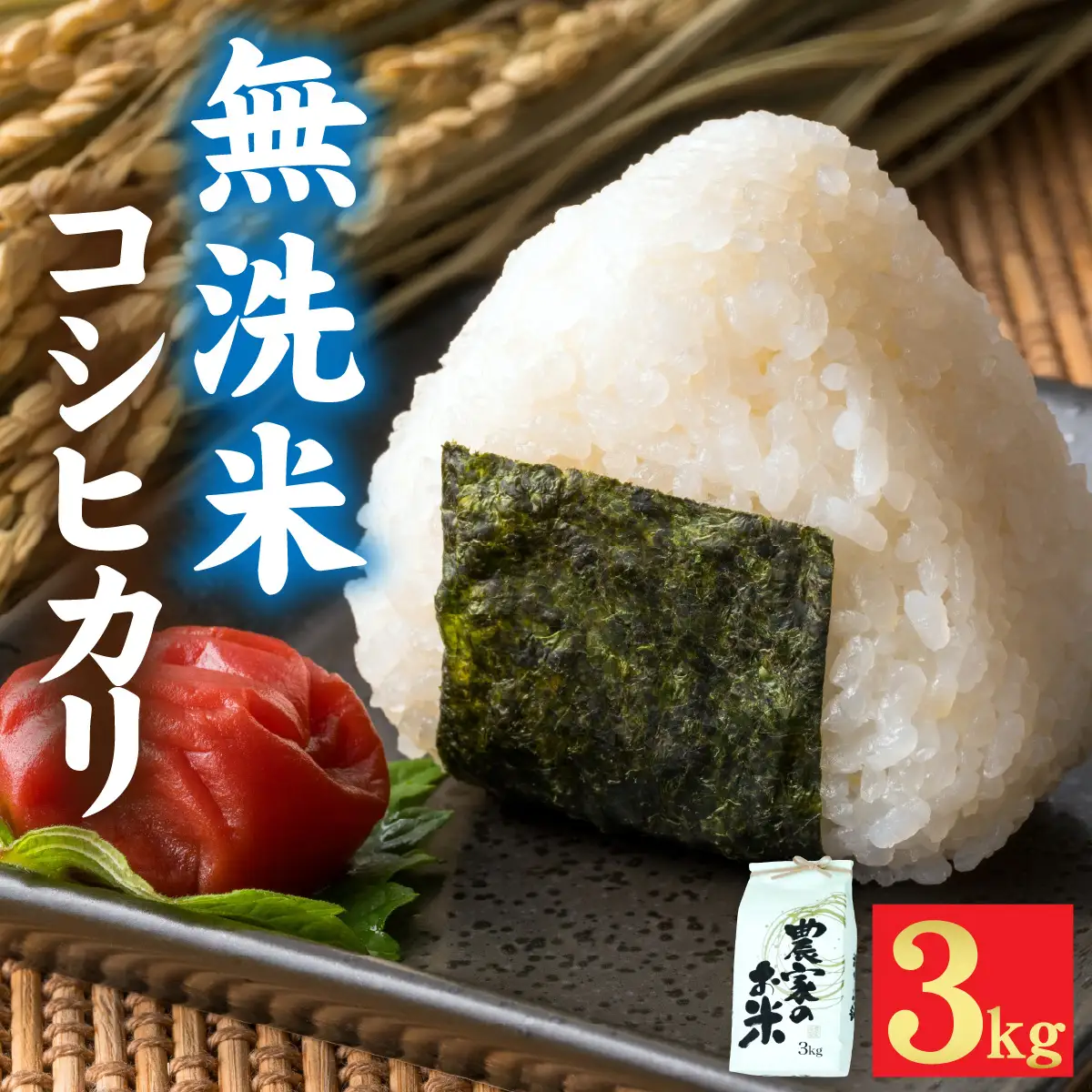 令和7年産 福井市産 コシヒカリ 3kg 無洗米 天然の山水で育てたお米【みやま米】 [A-168003]  / 無洗米