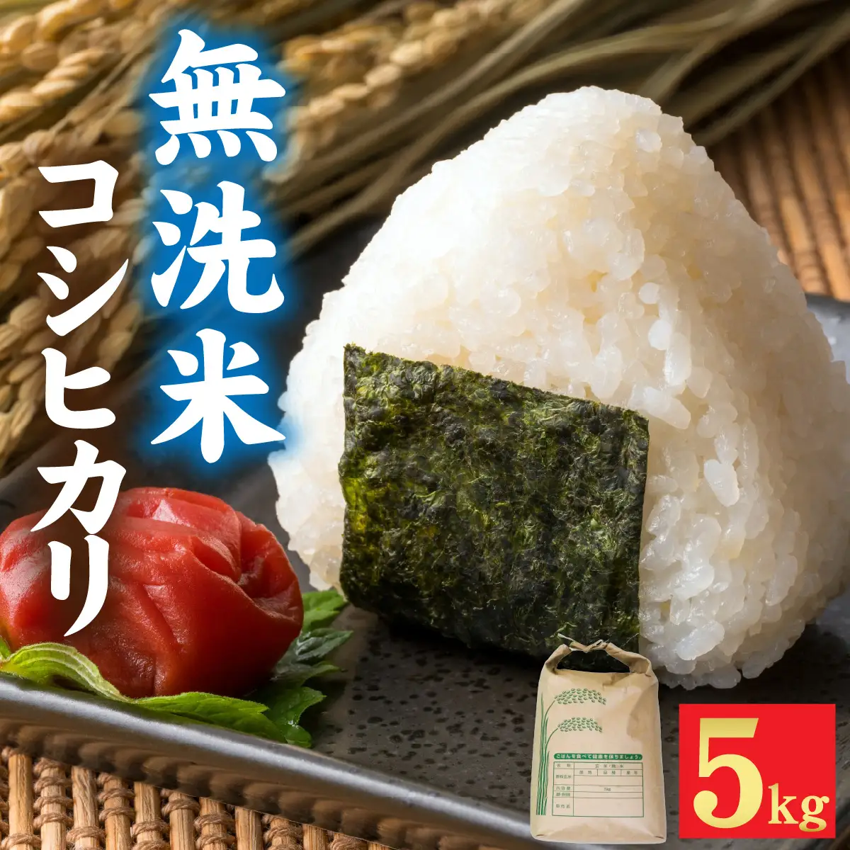 令和7年産 福井市産 コシヒカリ 5kg 無洗米 / 天然の山水で育てたお米【みやま米】 [A-168004]  / 5キロ 5kg 米 こめ コメ お米 こしひかり 福井県 福井市 令和7年 7年産 七年