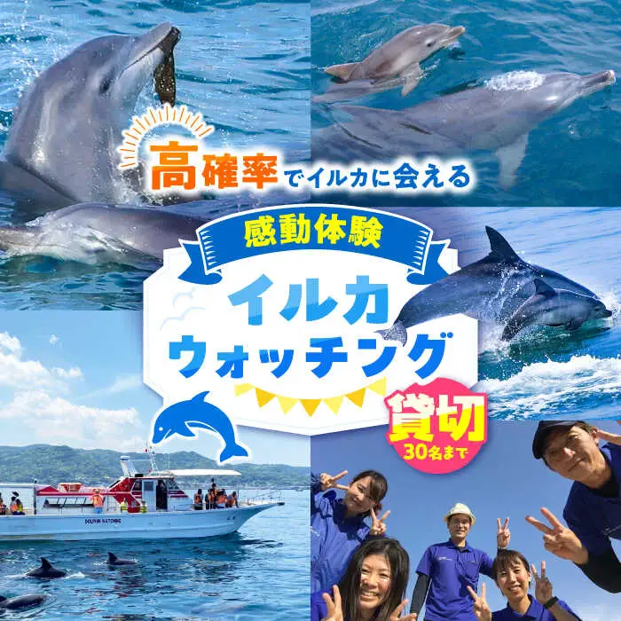 南島原 貸切 イルカウォッチング / チケット ちけっと 体験型 観光チケット いるか イルカ イルカ体験 貸し切り いるか イルカ / 南島原市 / 南島原イルカウォッチング [SAE007]
