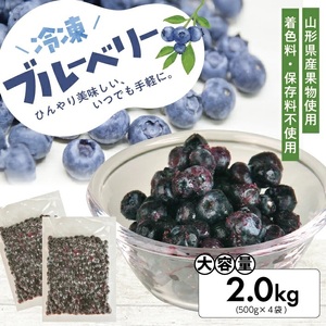 冷凍ブルーベリー2.0kg(500g×4袋) 山形県産 冷凍便 ※離島発送不可 冷凍 冷凍フルーツ ブルーベリー フルーツ ジャム ジュース スムージー 小分け お菓子作り ゆざ食彩工房 遊佐町 庄内 東北 [1430BB2000G]