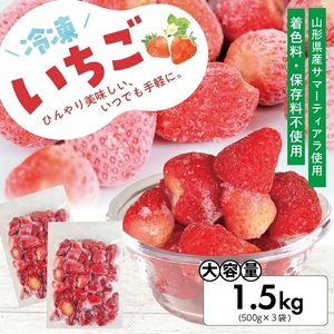 冷凍いちご1.5kg(500g×3袋) 山形県産 冷凍便 ※離島発送不可 冷凍 冷凍フルーツ いちご イチゴ 苺 サマーティアラ フルーツ ジャム ジュース スムージー 小分け お菓子作り ゆざ食彩工房 遊佐町 庄内 東北 [1431IC1500G]