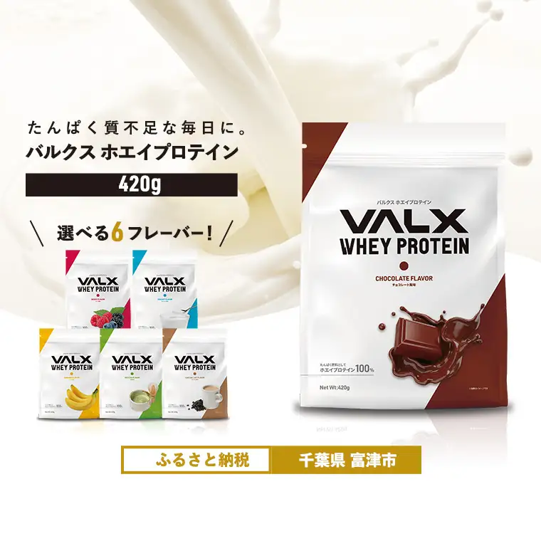 【最短5営業日以内発送】VALX ホエイプロテイン 420g チョコレート風味 プロテイン チョコレート チョコ