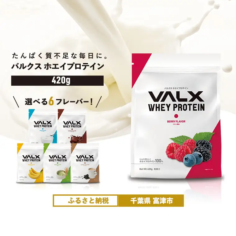 【最短5営業日以内発送】VALX ホエイプロテイン 420g ベリー風味 プロテイン ベリー