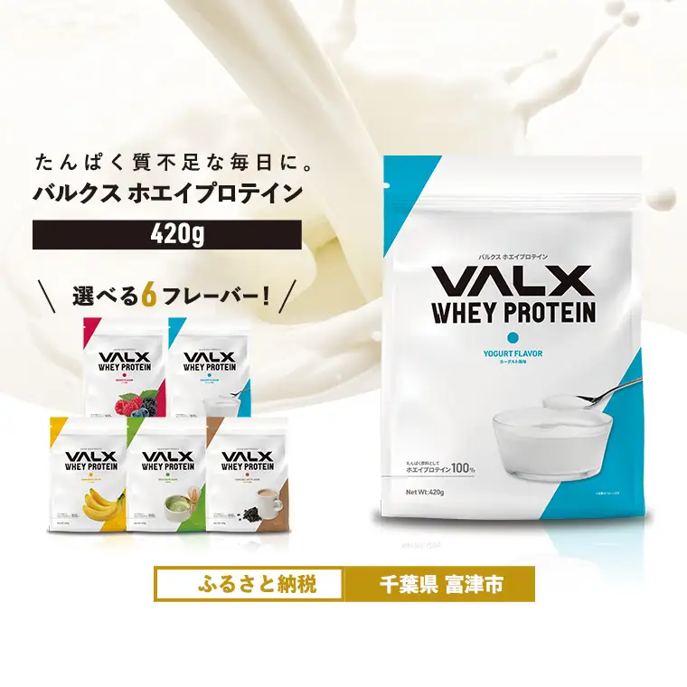 【最短5営業日以内発送】VALX ホエイプロテイン 420g ヨーグルト風味 プロテイン ヨーグルト