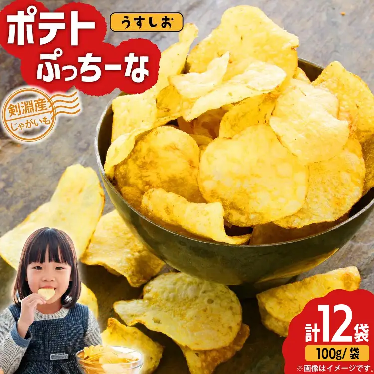 【期間限定発送】 ポテトチップス うすしお 100g 12袋入 ポテトぷっちーな