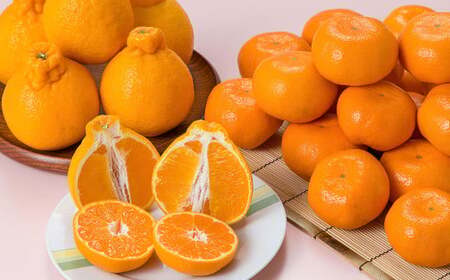 熊本県産 デコポン （4玉）・完熟みかん （1.5kg） セット 【2027年1月上旬発送開始】 果物 フルーツ 柑橘 でこぽん みかん 完熟