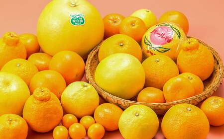 熊本県産 柑橘果物食べ比べセット 4種以上 【2027年1月上旬発送開始】 果物 フルーツ 柑橘 おまかせ 旬 旬のフルーツ