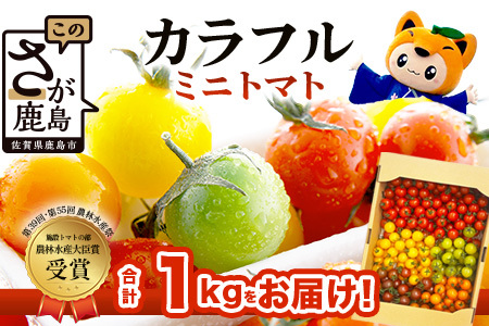 ＼農林水産大臣賞受賞／岩永さんちのトマト 【カラフルミニトマト5色 約1kg】【生産者直送】化学肥料不使用  有機栽培 手造り堆肥 甘い フルーティ お弁当 サラダ おやつ 健康 安心安全 ふるさと納税   B-823