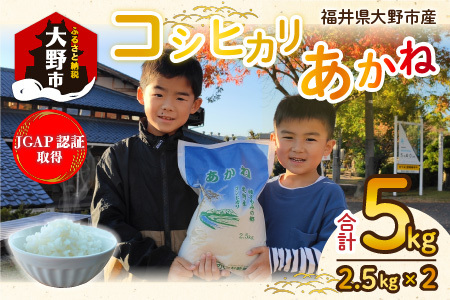 【先行予約】【令和7年産 新米】福井県大野市産 JGAP認証 コシヒカリ「あかね」5kg（2.5kg×2）小分け 