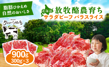【先行予約】サラダビーフ バラ スライス 300g×3【11月中旬以降発送】サラダビーフ [BEAH006]