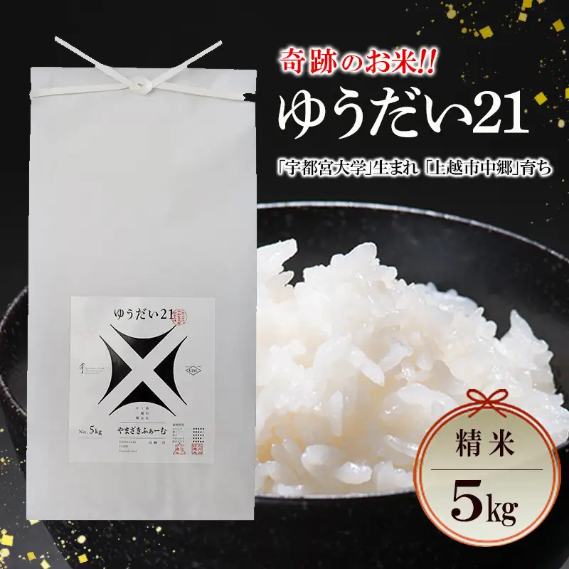 ゆうだい21 奇跡のお米 中郷産 ゆうだい21 5kg