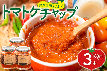 濃厚芳醇とろけるトマトケチャップ 3本 (180g×3)