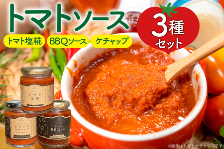 トマトソース 3種 詰め合わせ 各1個
