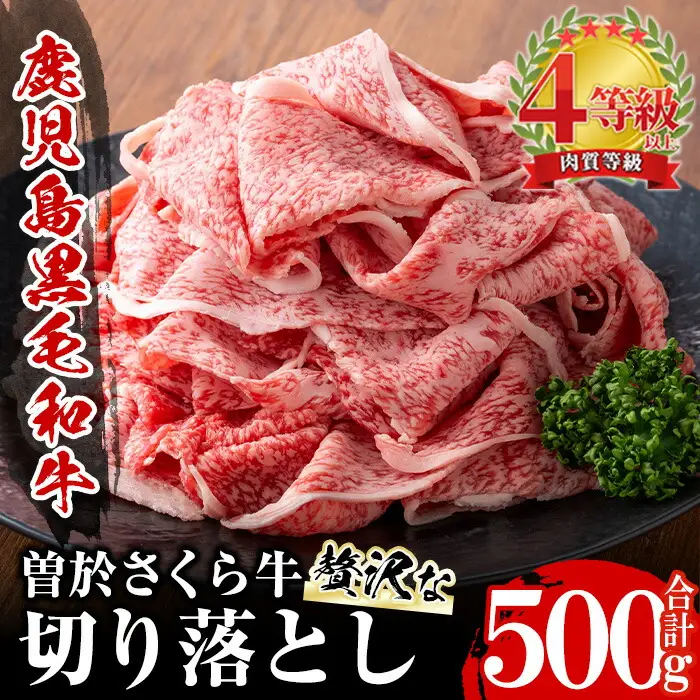 曽於さくら牛 黒毛和牛 贅沢 切り落とし (合計500g)【福永産業】A660