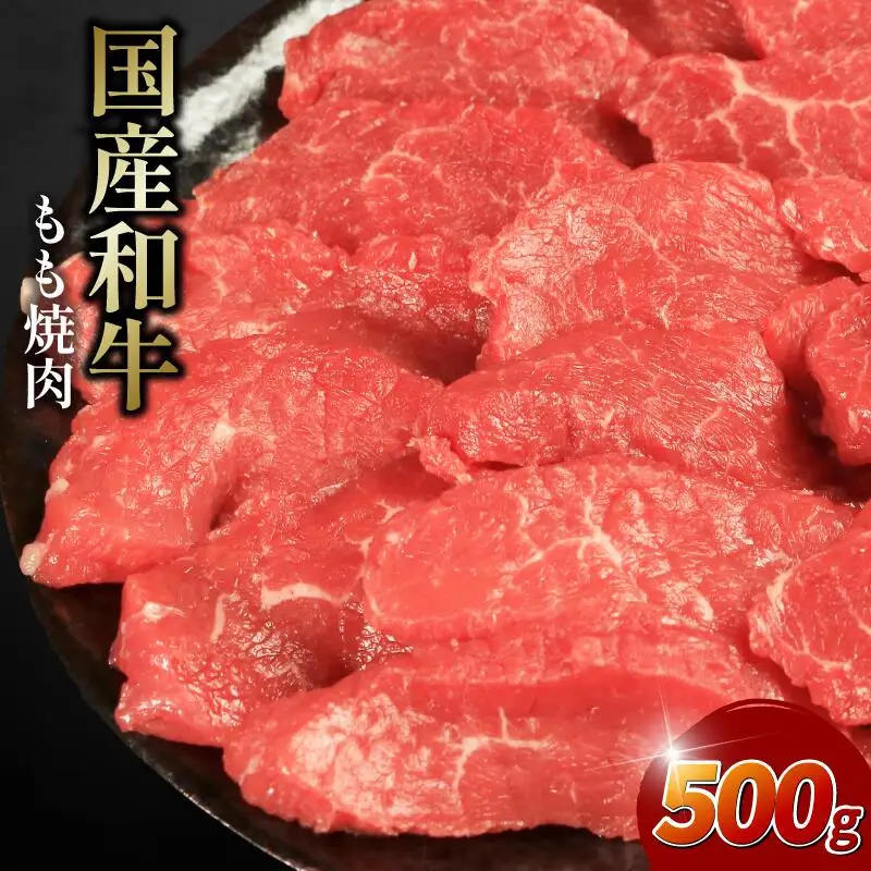 牛肉もも 500g 焼肉用 牛肉もも