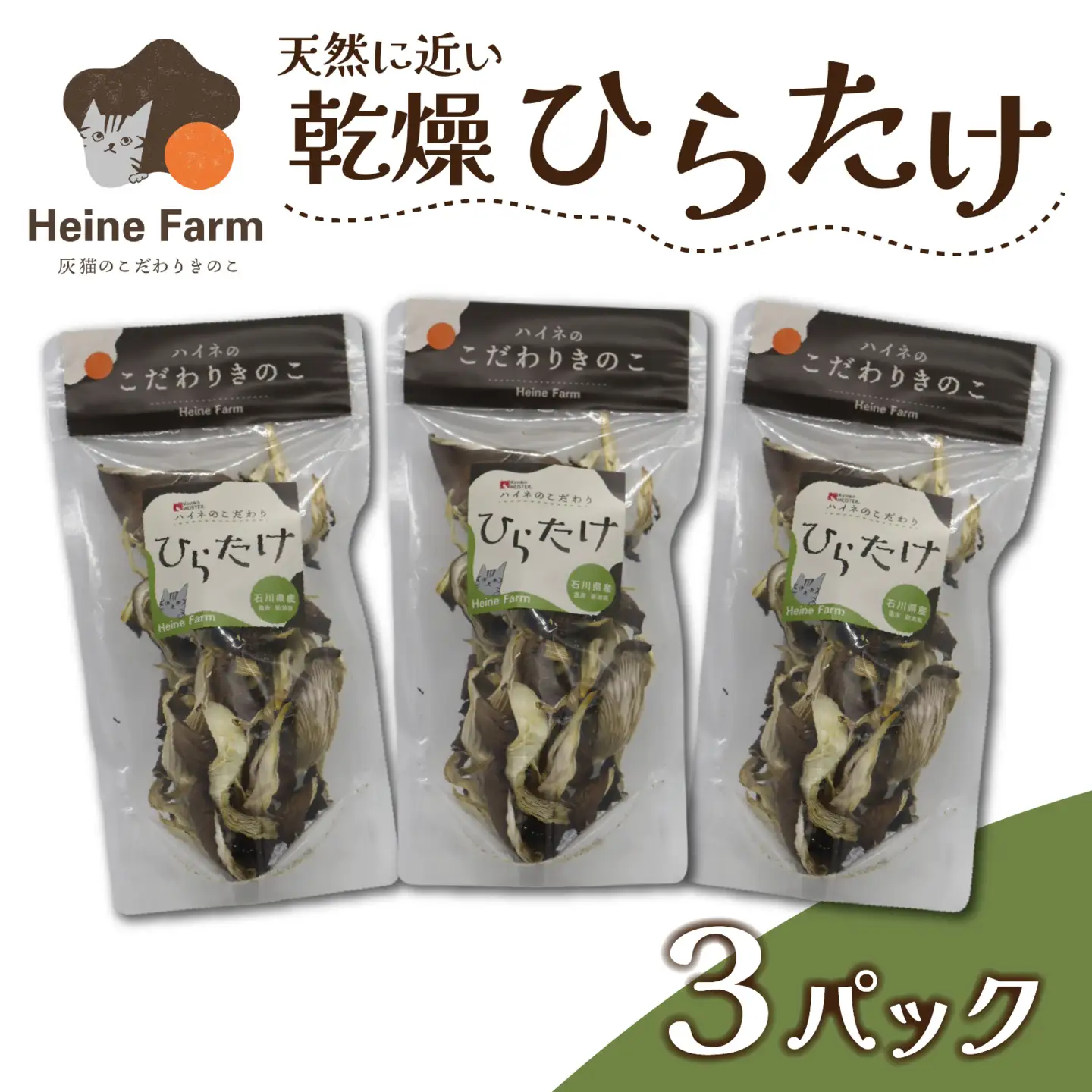灰猫のひらたけ（乾燥）