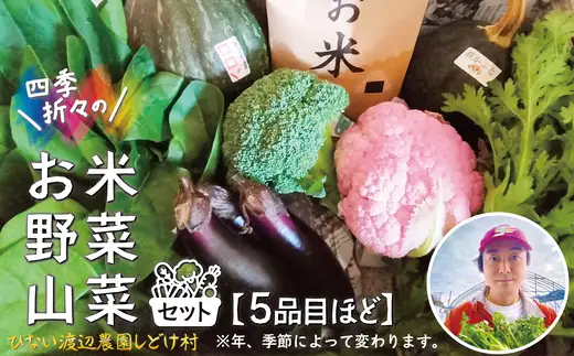 米野菜・山菜セット（5品目ほど）【115P3203】【ひない渡辺農園しどけ村】
