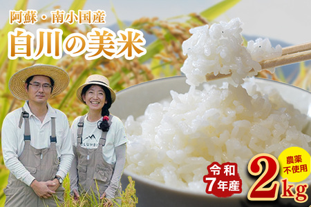 令和７年産 白川の美米 ２kg 令和7年産 南小国産 玄米 白米 3分づき 5分づき 7分づき 森のくまさん 精米 米 お米 ご飯 ごはん 無農薬 農薬不使用 自然栽培 産地直送 白川自然農園 熊本 南小国 送料無料