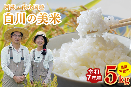 令和７年産 白川の美米 ５kg 令和7年産 南小国産 玄米 白米 3分づき 5分づき 7分づき 森のくまさん 精米 米 お米 ご飯 ごはん 無農薬 農薬不使用 自然栽培 産地直送 白川自然農園 熊本 南小国 送料無料