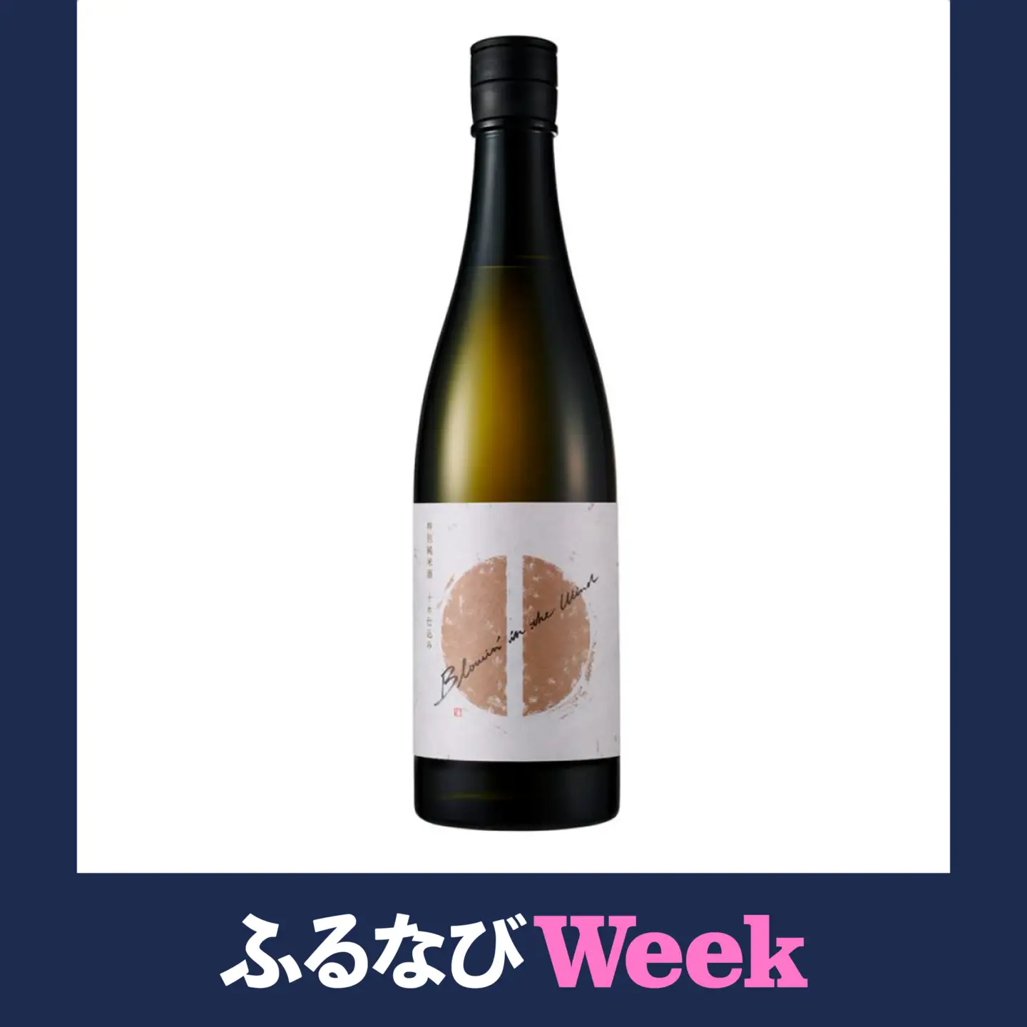【ふるなびWEEK対象】【Blowin'in the wind】セトイチ Another Edition 日本酒 [BDAI003-3] 