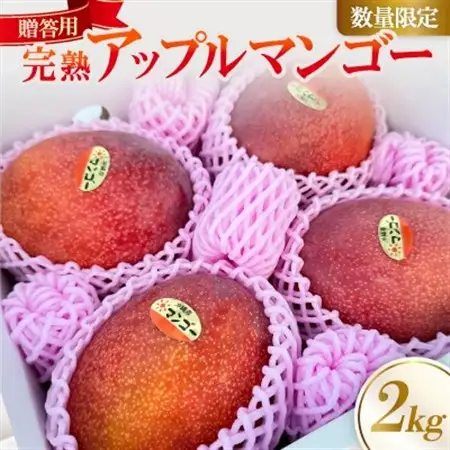 【2027年6月下旬から順次発送】かみざと農園の贈答用アップルマンゴー2kg【配送不可地域：離島】【1601772】