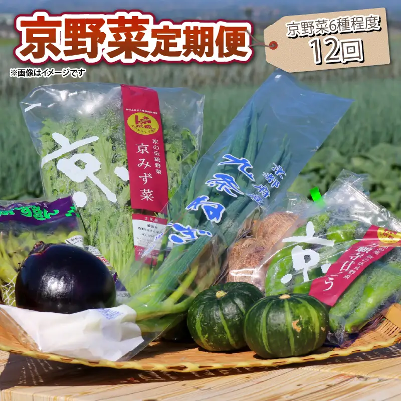 【野菜 定期便 12回】選りすぐり 旬の京野菜 詰め合わせセット