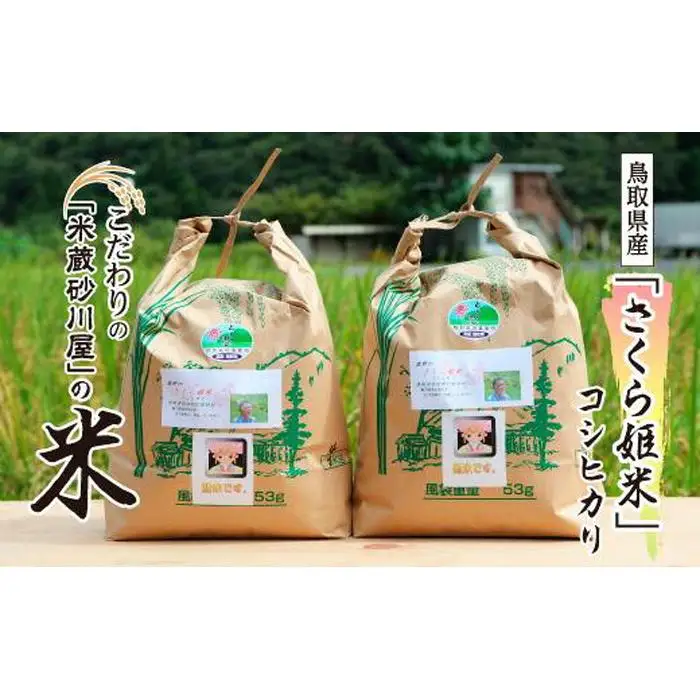【2026年9月下旬～発送予定】鹿野のさくら姫米 6kg ( 3kg×2袋 )